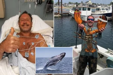 கடலில் குதித்த மீனவரை விழுங்கிய ராட்சத திமிங்கலம்! பின்னர் நடந்த அதிசயமான சம்பவம்