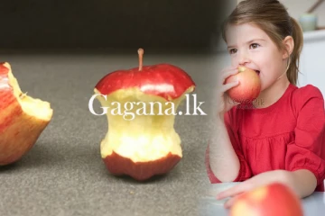 ඇට පිටින් ඇපල් කනවද - එහෙනම් මේ වීඩියෝ එක බලලම ඉන්න.(VIDEO)