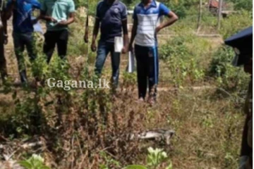 පුද්ගලයෙක් එකවරම අතුරුදන් වෙලා - මළසිරුර පාලු පොල් වත්තකින් හමු වෙලා.