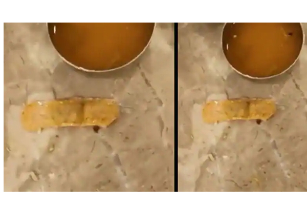 பிரபல ஓட்டல் சாப்பாட்டில் கிடந்த பேண்டேஜ்.... ஷாக்கான வாடிக்கையாளர் - வைரலாகும் வீடியோ - தமிழ்நாடு