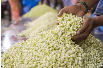 எகிறிய மல்லிகை பூவின் விலை - தமிழ் புத்தாண்டை முன்னிட்டு கிடுகிடு உயர்வு!