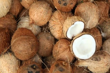 சதொச ஊடாக விற்கப்படும் தேய்காய்களின் எண்ணிக்கை தொடர்பில் வெளியான அறிவிப்பு!