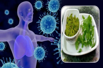 நோய் எதிர்ப்பு சக்தியை அதிகரிக்கும் கொத்தமல்லி துவையல்... எப்படி செய்வது?