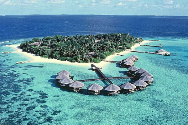 பிரபல நடிகை கத்ரீனா கைஃபிற்கு மாலைத்தீவில் வழங்கப்பட்ட முக்கிய பதவி! | What Is The Position Given Katrina Kaif Maldives