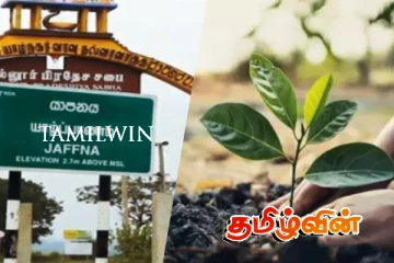 யாழ். வடமராட்சியில் ஒரு இலட்சம் பனம் விதை நடுகை திட்டம் ஆரம்பம்.!