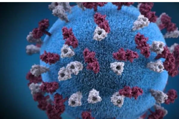 ஒட்டாவாவில் ஒரே குடும்பத்தைச் சேர்ந்த 5 பேருக்கு தட்டம்மை | 5 Ottawa Family Members Have Confirmed Measles