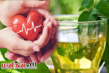 இதயத்தை ஆரோக்கியமாக வைக்க வேண்டுமா? இந்த இலையின் நீர் போதும்