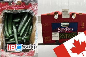 கனடாவில் மற்றுமொரு மரக்கறி தொடர்பில் விடுக்கப்பட்ட எச்சரிக்கை!