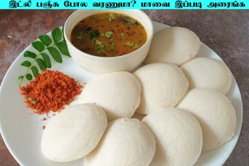 ரேஷன் அரிசியில் பஞ்சு போன்ற இட்லி வேண்டுமா? இப்படி மட்டும் அரைத்தால் போதும்