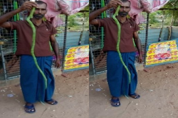 தமிழர் பகுதியொன்றில் அதிசயம் ; காண படையெடுக்கும் மக்கள் | Wonder In Tamil Area Crowds Flock To Witness