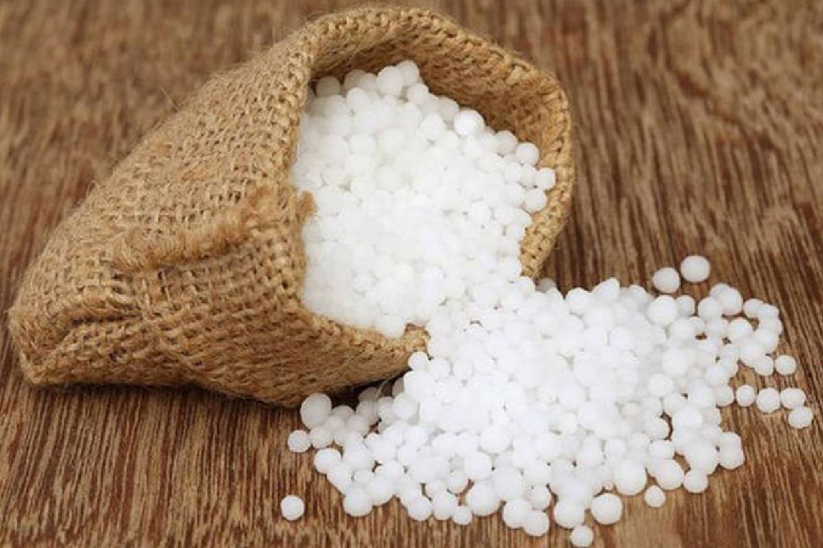 விவசாயிகளுக்கான உர மானியம் அதிகரிப்பு : ஜனாதிபதி அறிவிப்பு | Increase In Fertilizer Subsidy For Farmers விவசாயிகளுக்கான உர மானியம் அதிகரிப்பு : ஜனாதிபதி அறிவிப்பு | Increase In Fertilizer Subsidy For Farmers