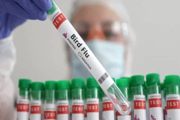 முதல் முறையாக பறவைக் காய்ச்சலால் உயிரிழந்த நபர்! அதிர்ச்சி தகவல்