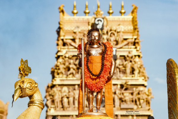 நல்லூர் கந்தன் மாம்பழ திருவிழாவில் பக்தர்களை கவர்ந்த சிறுவன் முருகன்! | Boy Murugan Captivates Nallur Mango Festival