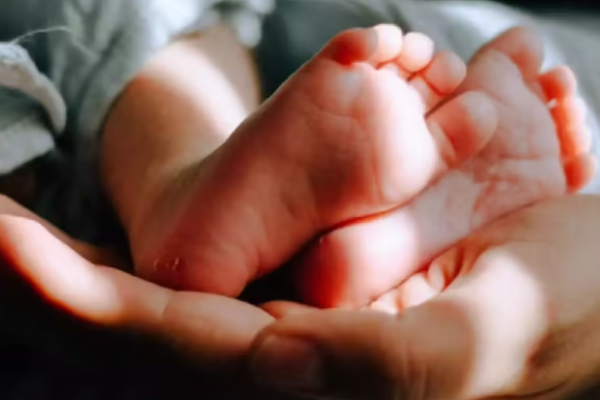 மருத்துவ உலகின் வினோதம் ; இரண்டு ஆண்குறிகளுடன் பிறந்த பச்சிளம் குழந்தை | A Medical Wonder A Baby Born With Two Penises மருத்துவ உலகின் வினோதம் ; இரண்டு ஆண்குறிகளுடன் பிறந்த பச்சிளம் குழந்தை | A Medical Wonder A Baby Born With Two Penises