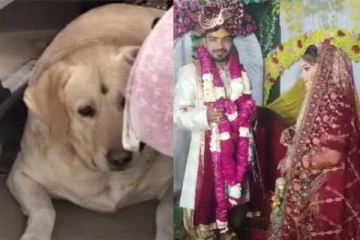 நாய் குரைத்ததால் நின்ற திருமணம்! காதலனை வேண்டாமென கூறிய காதலி