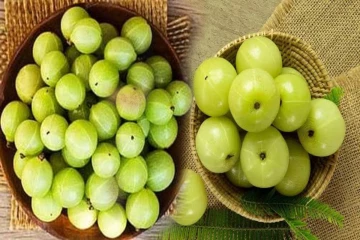 நெல்லிக்காய் Myth vs Fact: உண்மை எது, கட்டுக்கதை எது?