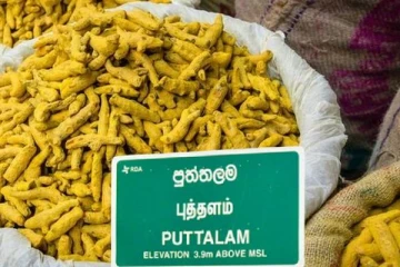 புத்தளத்தில் பெருந்தொகையான மஞ்சள் மீட்பு