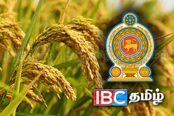 விவசாயிகளுக்கு அரசாங்கம் வெளியிட்டுள்ள முக்கிய அறிவிப்பு | Good News For Farmers Purchase Prices For Paddy