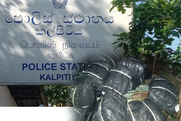 பெருமளவிலான பீடி இலைகளுடன் புத்தளத்தில் ஒருவர் கைது