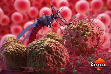 ලෝක මැලේරියා දිනයේදී WHO හෙළිකළ අනාවරණය මොකද්ද?