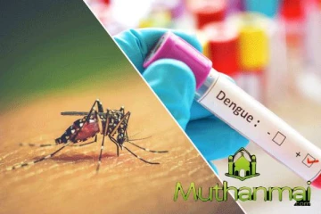 நாட்டில் டெங்கு நோயாளர்களின் எண்ணிக்கை அதிகரிப்பு