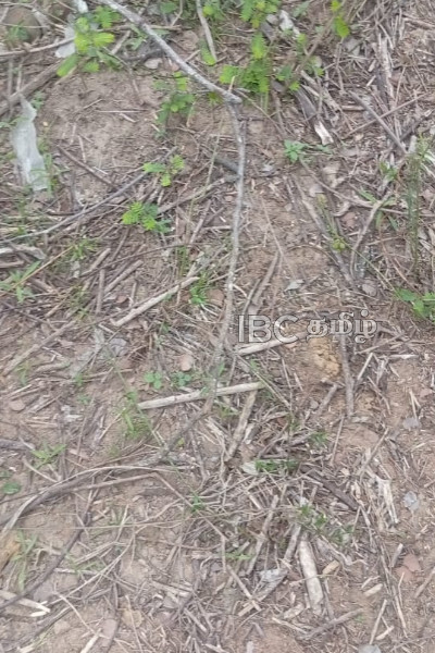 மட்டக்களப்பில் மீட்கப்பட்ட கைக்குண்டுகள் | Two Hand Grenades Found Defused By Police மட்டக்களப்பில் மீட்கப்பட்ட கைக்குண்டுகள் | Two Hand Grenades Found Defused By Police