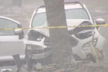 கனடாவில் தாயை கொலை செய்த குற்றச்சாட்டில் மகன் கைது