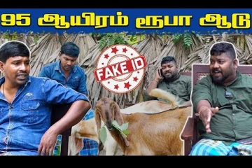 ”Fake Id" 95000 ரூபா ஆடு