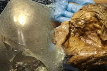 3,300 அடி ஆழத்தில் தங்க முட்டை..! எந்த விலங்கினுடையது என ஆச்சரியத்தில் விஞ்ஞானிகள்