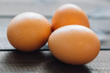 முட்டை, கோழி இறைச்சி விலை குறித்து துரித விசாரணை