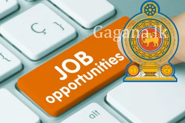 ලාංකිකයන්ට සුබ ආරංචියක්. - මෙන්න ජපන් රැකියා සංචිතයක්.