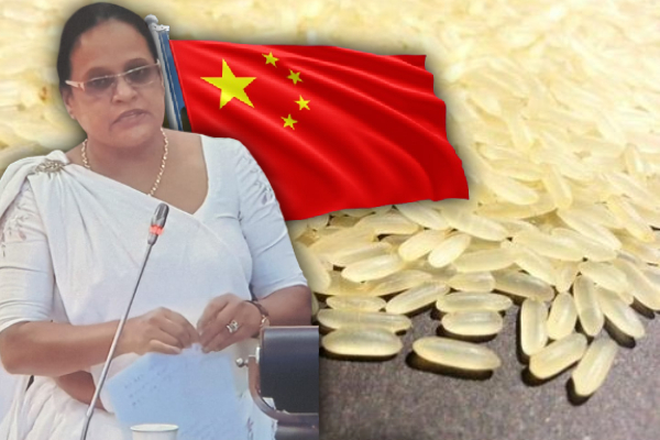 சீன மக்களே சாப்பிடாத இரசாயன அரிசியை அரசாங்கம் இறக்குமதி செய்கிறது - சபையில் எதிரணி காட்டம் - ஐபிசி தமிழ்