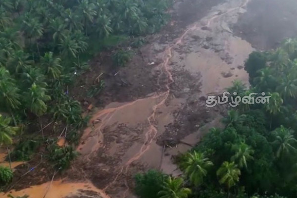 மன்னார் மாவட்டத்தில் அதிகளவில் உயிரிழந்துள்ள மாடுகள் உட்பட பண்ணை விலங்குகள்.. | Mannar Farm Animals Found Dead மன்னார் மாவட்டத்தில் அதிகளவில் உயிரிழந்துள்ள மாடுகள் உட்பட பண்ணை விலங்குகள்.. | Mannar Farm Animals Found Dead