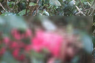 ගෙල කපා ඝාතනය කළ සිසුවියගේ මල සිරුර තේ වත්තක