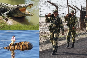 ஊடுருவலை தடுக்க எல்லையில் பாம்பு, முதலைகளை வளர்க்க இந்தியா திட்டம்