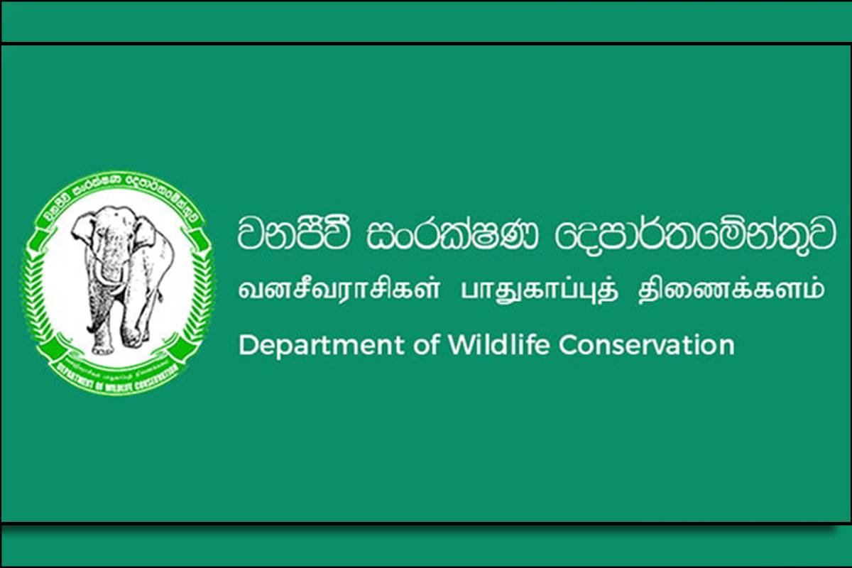 அரச சேவையில் இணைத்துக்கொள்ளப்படவுள்ள 121,000 பேர் : ஜனாதிபதி அறிவிப்பு | 121000 People To Be Recruited Into Govt Service அரச சேவையில் இணைத்துக்கொள்ளப்படவுள்ள 121,000 பேர் : ஜனாதிபதி அறிவிப்பு | 121000 People To Be Recruited Into Govt Service
