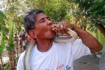 உலகின் அதிக விஷமுள்ள பாம்புக்கு முத்தம் தந்த பாம்பு மனிதனுக்கு நேர்ந்த கதி! மக்கள் கூட்டத்துக்கு முன்னர் நடந்த அதிர்ச்சி சம்பவம்