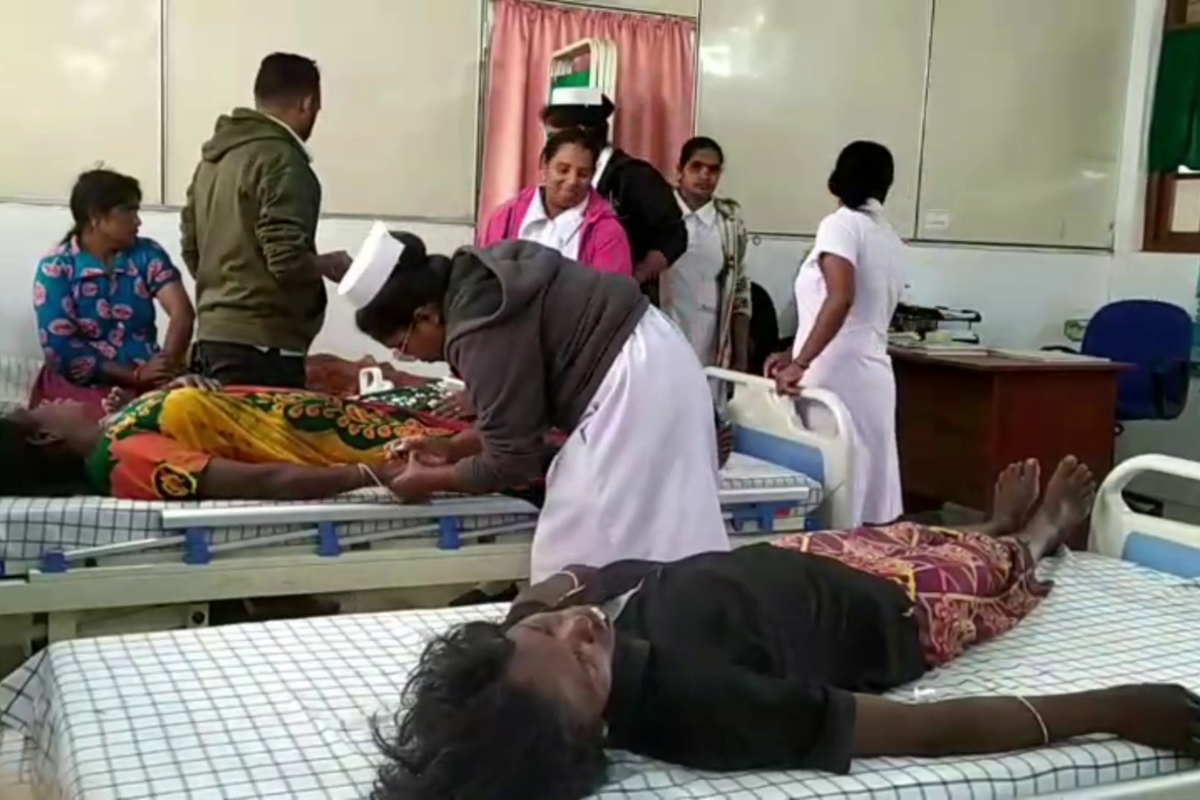 பொகவந்தலாவயில் தோட்டத் தொழிலாளர்கள் மீது குளவி தாக்குதல் | Wasp Attack On Plantation Workers பொகவந்தலாவயில் தோட்டத் தொழிலாளர்கள் மீது குளவி தாக்குதல் | Wasp Attack On Plantation Workers