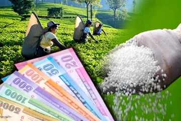 தேயிலைத் தோட்டங்களுக்கு 2000 ரூபாவால் அதிகரிக்கப்பட்டுள்ள மானியத் தொகை