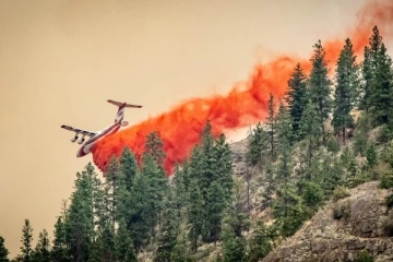 கனேடிய மாகாணம் முழுமைக்கும் அவசர நிலை பிரகடனம்: காட்டுத்தீ பாதிப்பின் பிரதிபலிப்பு