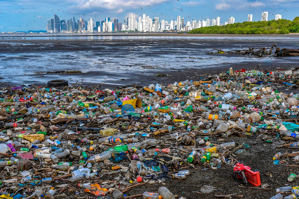 இலங்கை கடற்கரைகளில் இந்தியாவின் பிளாஸ்டிக் கழிவுகள் | Plastic Waste India