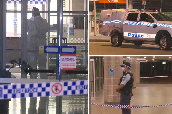 சிட்னியில் பொலிஸாரை மிரட்டியவருக்கு நேர்ந்த துயரம்! | Intimidated The Police In Sydney Shoot