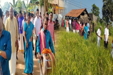 கிளிநொச்சியில் நடைபெற்ற வடமாகாண பொங்கல் விழா