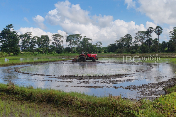 வெள்ளத்தில் மூழ்கிய நெல் வயல்கள் : விவசாயிகளின் வாழ்வாதாரம் கேள்விக்குறி! | Flooded Paddy Fields In Vavuniya Lost To Farmers வெள்ளத்தில் மூழ்கிய நெல் வயல்கள் : விவசாயிகளின் வாழ்வாதாரம் கேள்விக்குறி! | Flooded Paddy Fields In Vavuniya Lost To Farmers