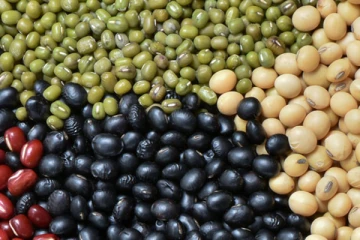 தானியங்களின் இறக்குமதி குறித்து முன்மொழிவு