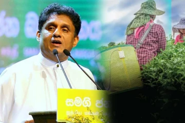 பெருந்தோட்ட மக்களுக்கு சஜித் ஆட்சியில் தீர்வு: நம்பிக்கை வெளியிட்டுள்ள ஐக்கிய மக்கள் சக்தி