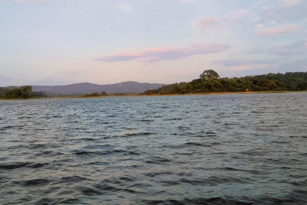 இலங்கையில் அடுத்தடுத்து நடக்கும் சோகம் - 50இற்கும் மேற்பட்டோர் பலி - இன்றும் 6 சடலங்கள் மீட்பு | Group Drowned And 4 Bodies Found