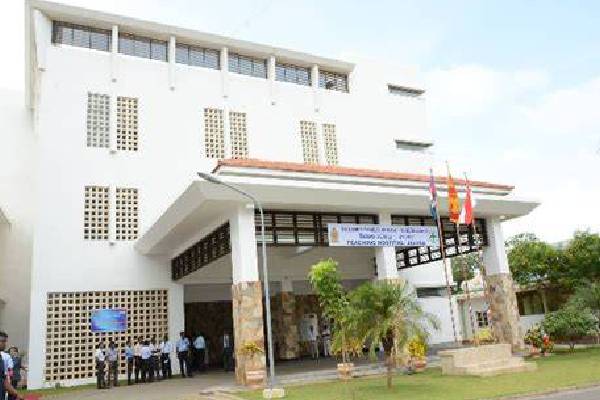 யாழில் மாடியில் இருந்து விழுந்து ஒருவர் உயிரிழப்பு | Person Died After Falling From The Floor In Jaffna