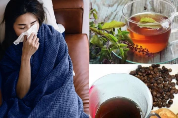 காய்ச்சல் வந்தால் பயப்பட வேண்டாம்! ஒரேநாளில் வீட்டிலேயே சரிசெய்யும் அற்புத கசாயம்