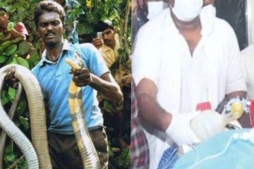 “நான் தான் வாவா சுரேஷ்” மருத்துவரிடம் திணறியபடி பேசிய பாம்பு பிடி மன்னன்; வீடு திரும்புவது எப்போது?